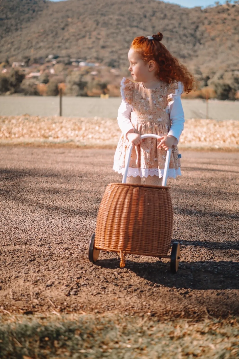 Charlotte Emma Dress | Bella in Apricot