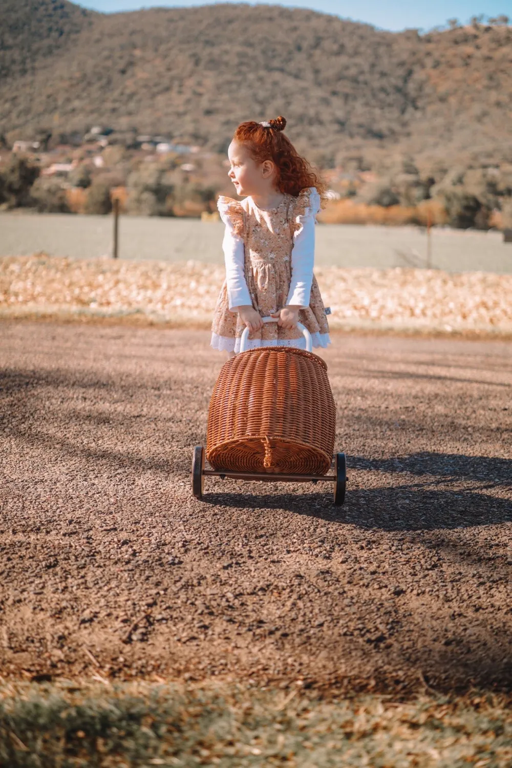 Charlotte Emma Dress | Bella in Apricot