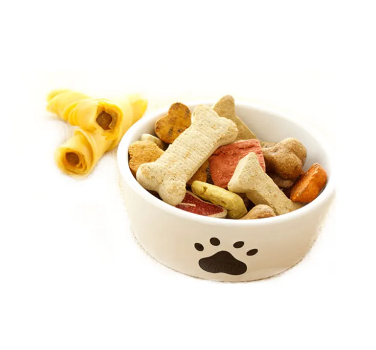 Dog Feeder Bowls