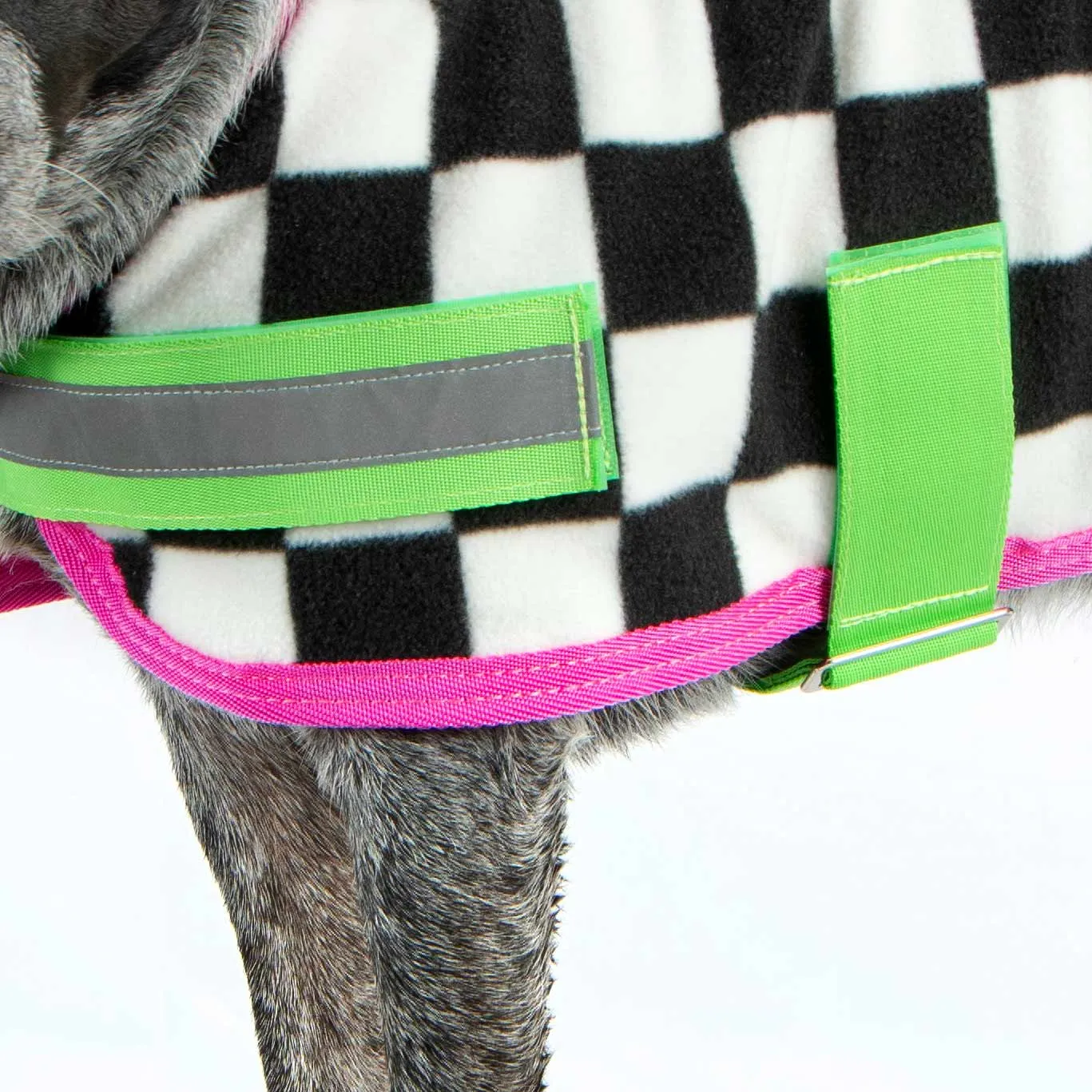 In Stock Now! Jeffers Expression Dog Fleece, Skater Pup