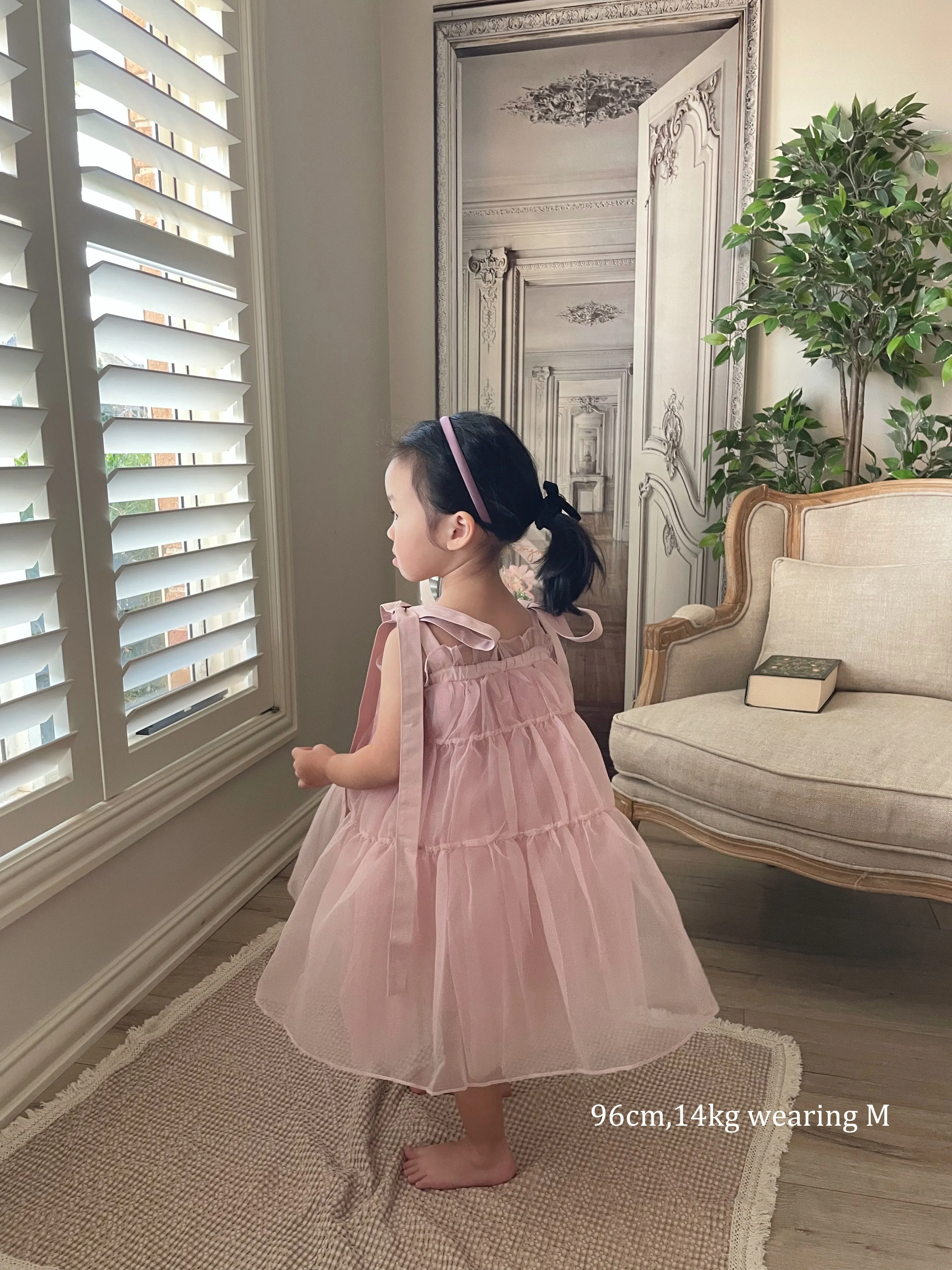 Ribbon Tulle Dress