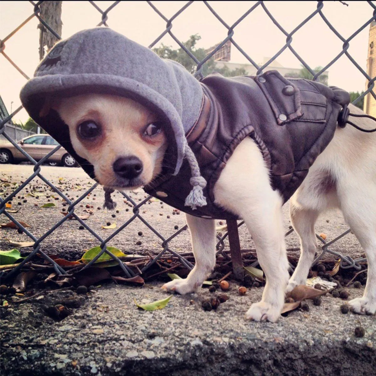 Vintage Bomber Jacket